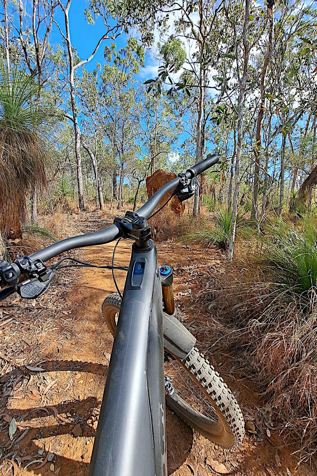 Davies Creek Trail