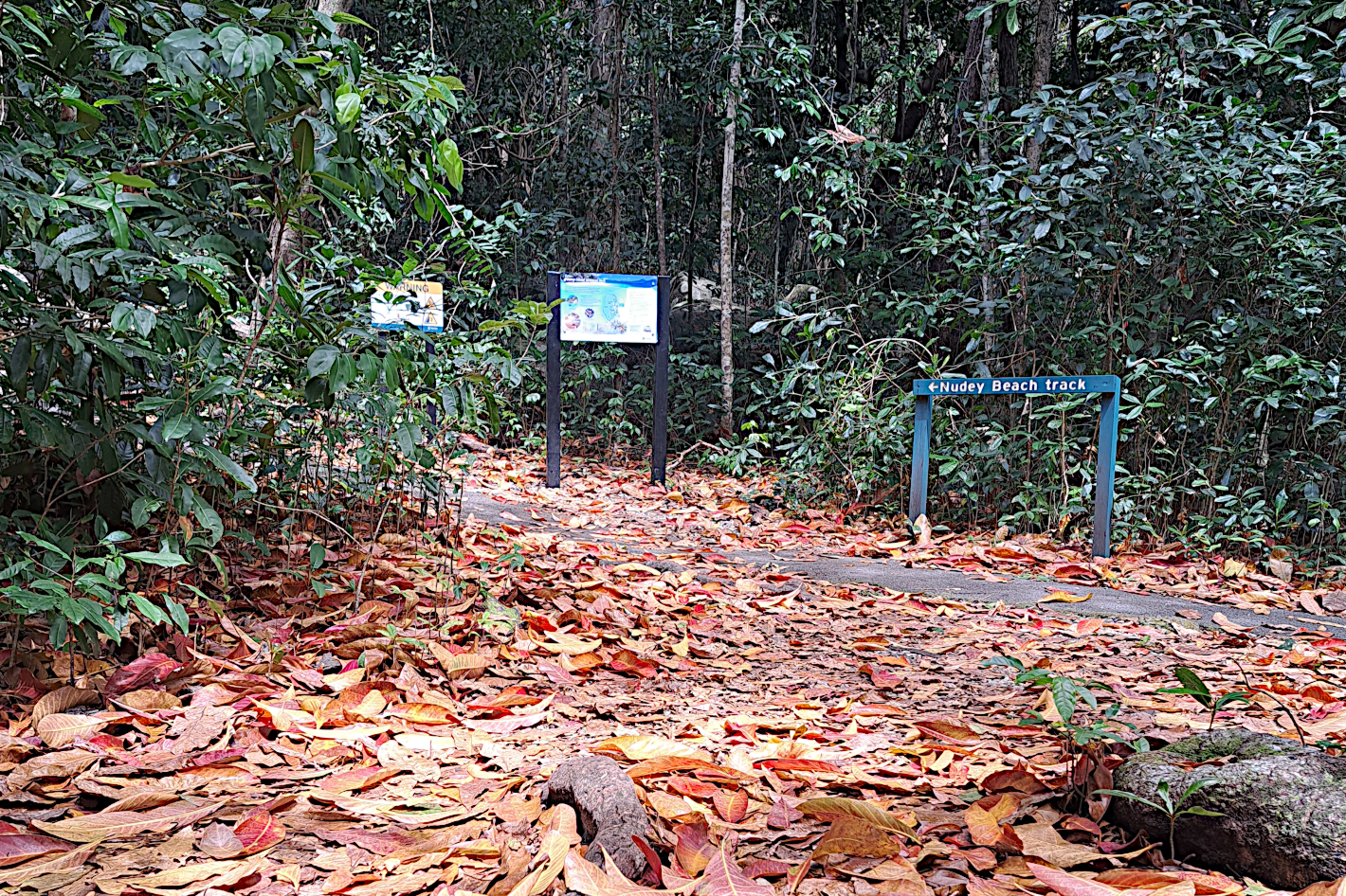 Hiking FNQ
