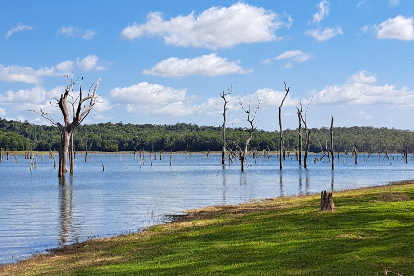 Lake Tinnaroo