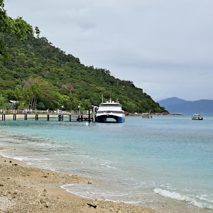 Fitzroy Ferry