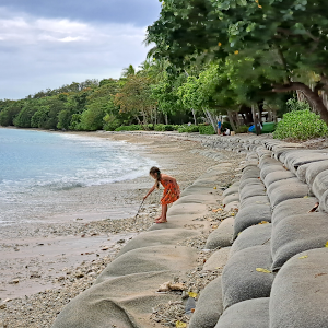 Fitzroy Island Beach