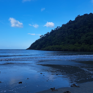 Cape Tribulation